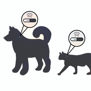 Microchips Mandatory for Cats and Dogs